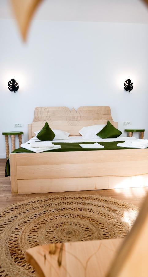 Conacul Olarilor Bed & Breakfast Бая де Фиер Екстериор снимка